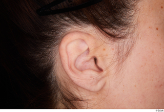 Leticia ear 0002.jpg